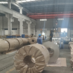 Porcelana Jiangsu Senyilu Metal Material Co., Ltd.